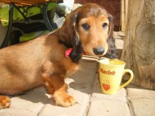 Cze��, wpad�em skra�� ci serce!